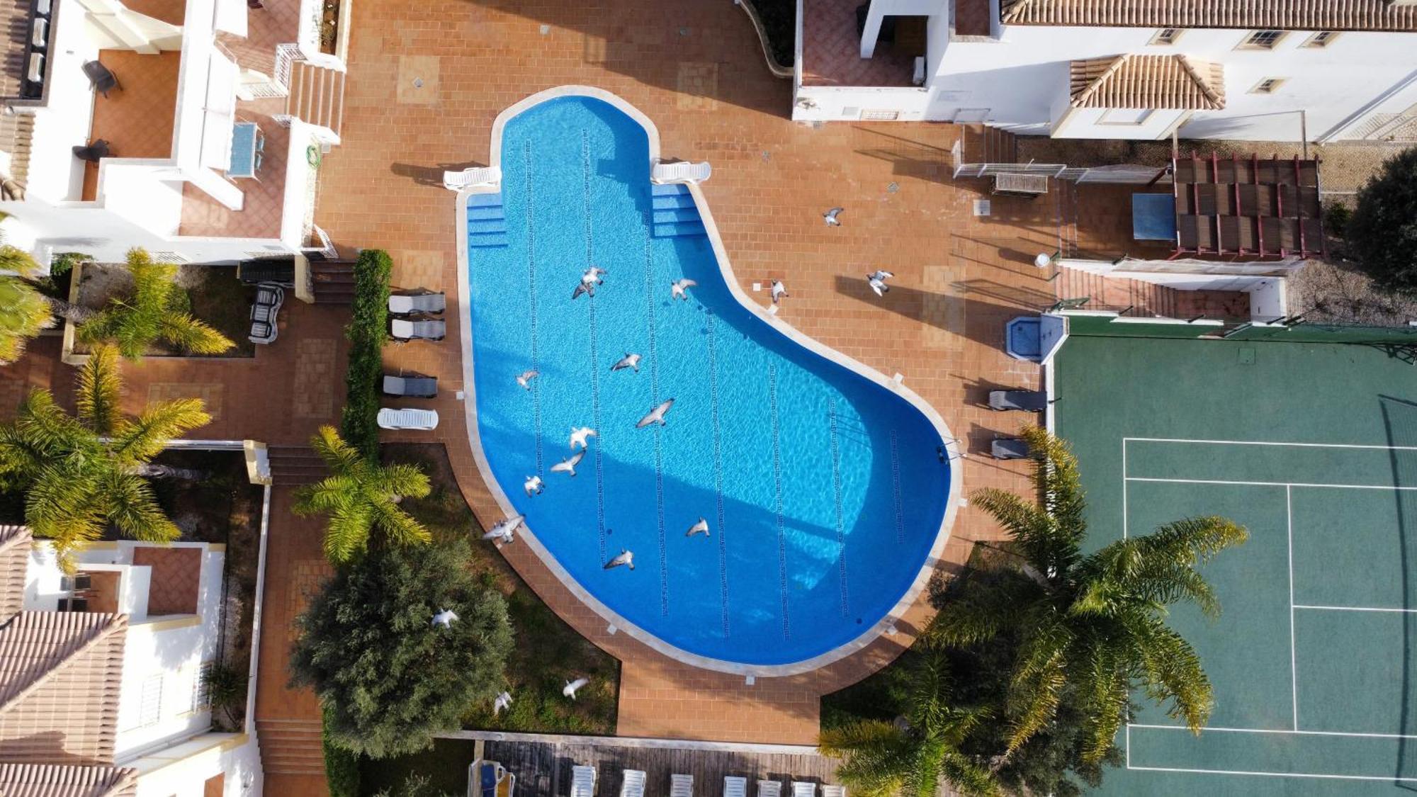 Daisy 2 Bedroom Albufeira